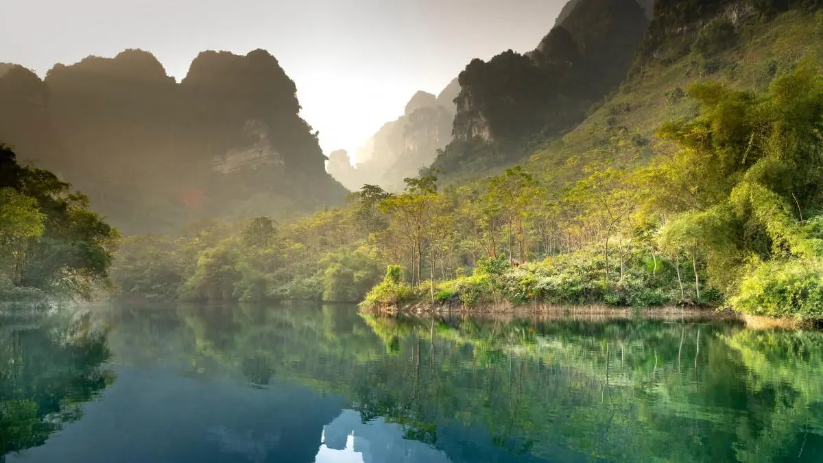 自动化绿色高端